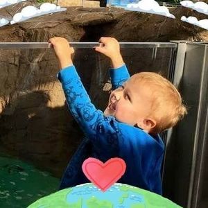 Meet your Posher, Sharon